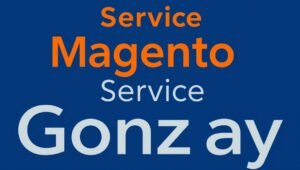 magento service gonzay